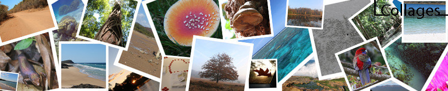 collages